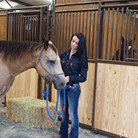HSF HSP Premier Horse Stalls